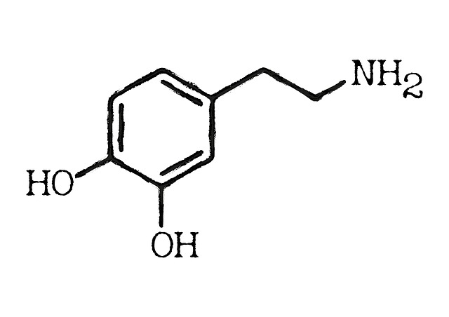 dopamine chemical, motivation