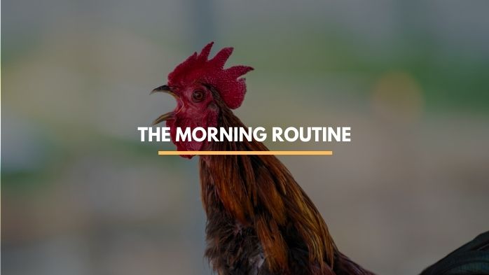 men's morning routine