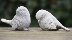 bird rejecting another bird | how to overcome rejection