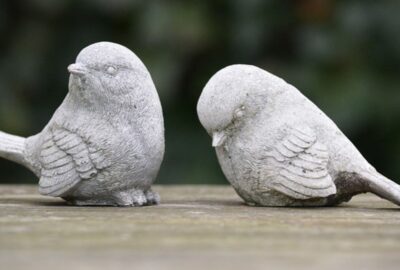 bird rejecting another bird | how to overcome rejection