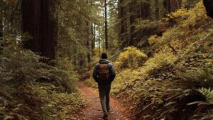 young black man walking off of a straight lined path onto another path while hiking in Northern California woods. | shortcut to success