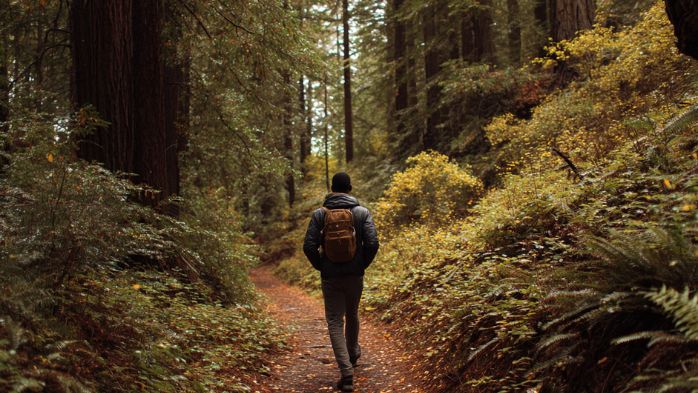 young black man walking off of a straight lined path onto another path while hiking in Northern California woods. | shortcut to success